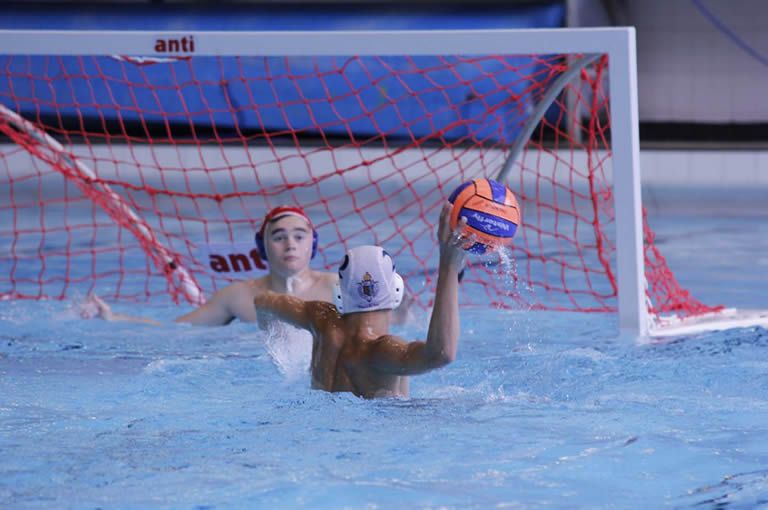 Playing water polo